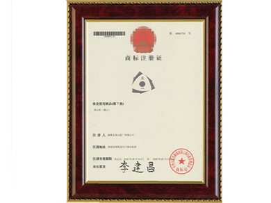 Trademark Registration Certificate