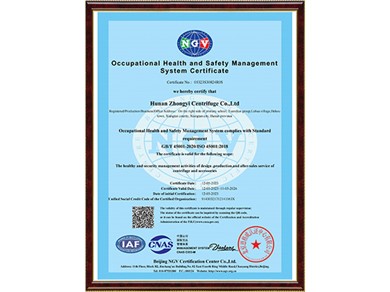 Occupational Healthy and safety management certificat